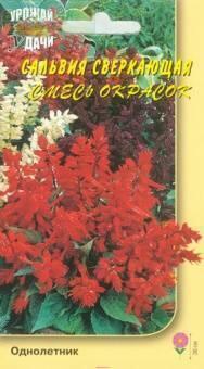 Купить оптом в Ботанике семена Сальвия Смесь окрасок сверкающая УУ бренд Урожай Удачи