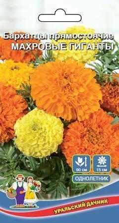 Купить оптом в Ботанике семена Бархатцы Махровые гиганты УД бренд Уральский дачник