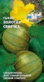 Купить оптом в Ботанике семена Тыква Золотая семечка Сед бренд СеДеК