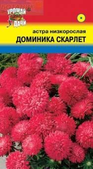 Купить оптом в Ботанике семена Астра Доминика Скарлет УУ бренд Урожай Удачи