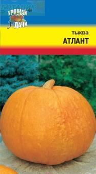 Купить оптом в Ботанике семена Тыква Атлант УУ бренд Урожай Удачи