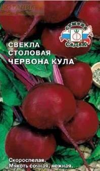 Купить оптом в Ботанике семена Свекла Червона кула Сед бренд СеДеК