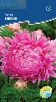 Купить оптом в Ботанике семена Астра Элегия Акв бренд Акварель