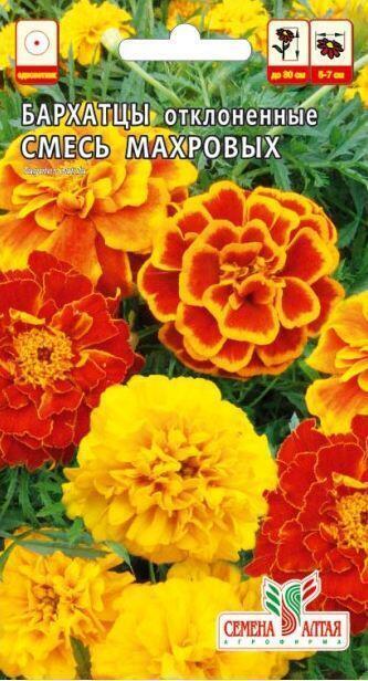 Купить оптом в Ботанике семена Бархатцы Отклоненные смесь СА бренд Семена Алтая