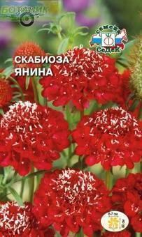 Купить оптом в Ботанике семена Скабиоза Янина Сед бренд СеДеК