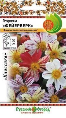 Купить оптом в Ботанике семена Георгина Фейерверк смесь НК бренд НК