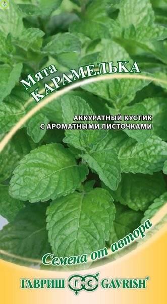 Купить оптом в Ботанике семена Мята Карамелька Гав бренд Гавриш