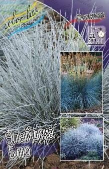 Купить оптом в Ботанике Овсяница Элайджа Блю 2 шт