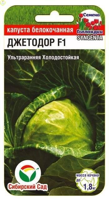 Купить оптом в Ботанике семена Капуста белокочанная Джетодор F1 СС бренд Сиб.сад