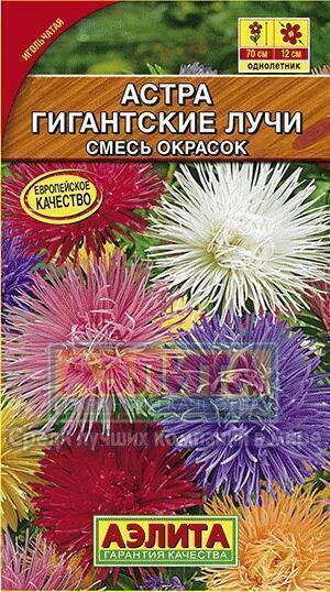 Купить оптом в Ботанике семена Астра Гигантские лучи смесь Аэл бренд Аэлита