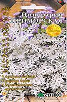Купить оптом в Ботанике семена Цинерария Приморская Агр бренд Агрико