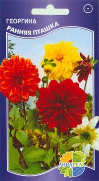 Купить оптом в Ботанике семена Георгина Ранняя пташка смесь Акв бренд Акварель