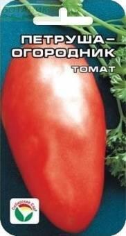 Купить оптом в Ботанике семена Томат Петруша-Огородник СС бренд Сиб.сад