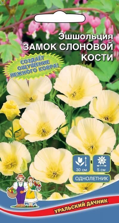 Купить оптом в Ботанике семена Эшшольция Замок слоновой кости УД бренд Уральский дачник