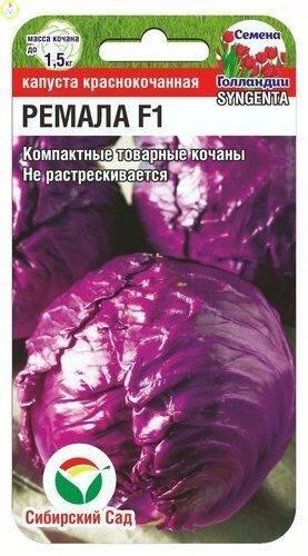 Купить оптом в Ботанике семена Капуста краснокочанная Ремала F1 СС бренд Сиб.сад