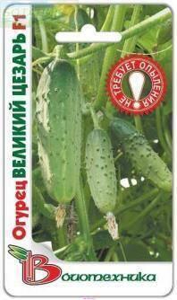 Купить оптом в Ботанике семена Огурец Великий Цезарь F1 Био бренд Биотехника