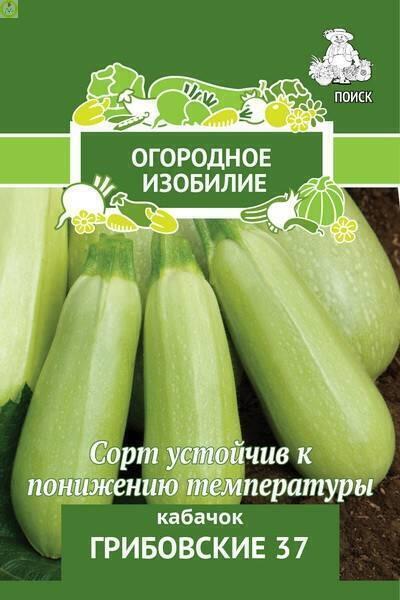 Купить оптом в Ботанике семена Кабачок Грибовские 37 Поиск бренд Поиск