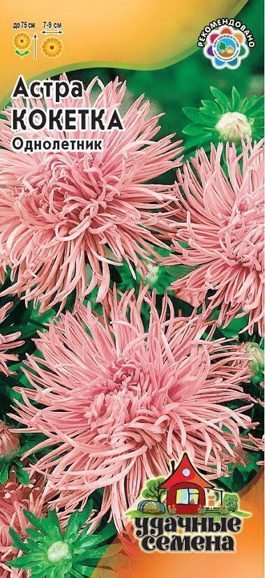 Купить оптом в Ботанике семена Астра Кокетка УС Гав бренд Гавриш Удачные семена