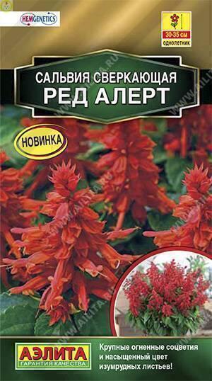 Купить оптом в Ботанике семена Сальвия Ред Алерт сверкающая Аэл бренд Аэлита