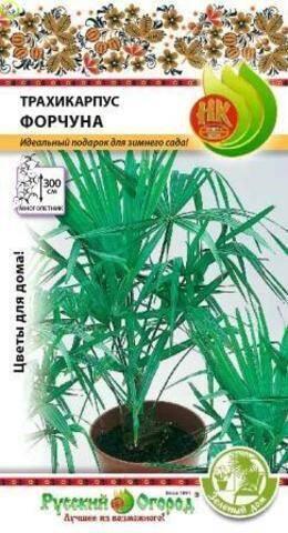 Купить оптом в Ботанике семена Пальма Трахикарпус Форчуна НК бренд НК