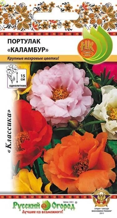 Купить оптом в Ботанике семена Портулак Каламбур смесь НК бренд НК