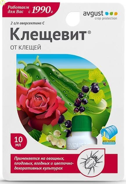 Купить оптом в Ботанике Клещевит 10 мл (80)
