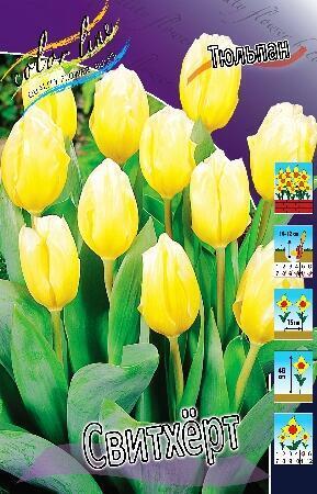 Купить оптом в Ботанике Тюльпан Свитхёрт 10 шт