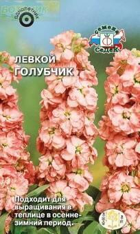 Купить оптом в Ботанике семена Левкой Голубчик Сед бренд СеДеК