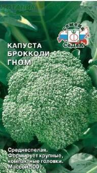 Купить оптом в Ботанике семена Капуста брокколи Гном Сед бренд СеДеК