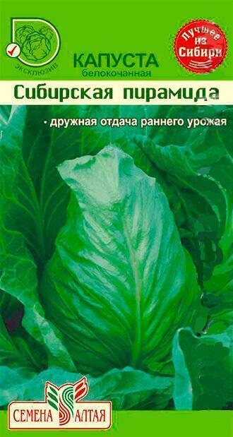 Купить оптом в Ботанике семена Капуста белокочанная Сибирская пирамида СА бренд Семена Алтая