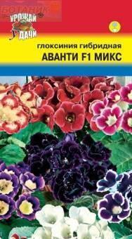 Купить оптом в Ботанике семена Глоксиния Аванти F1 микс УУ бренд Урожай Удачи