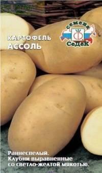 Купить оптом в Ботанике семена Картофель Ассоль* Сед бренд СеДеК