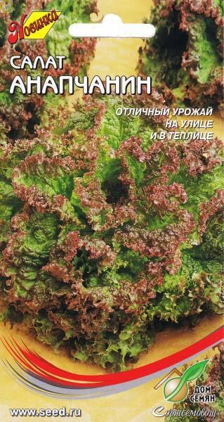 Купить оптом в Ботанике семена Салат Анапчанин ССО бренд Сортсемовощ