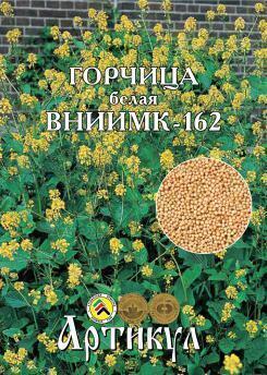 Купить оптом в Ботанике семена Горчица белая ВНИИМК-162 100 гр. Арт бренд Артикул
