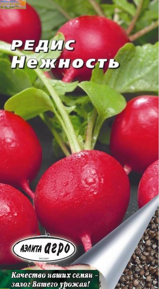 Купить оптом в Ботанике семена Редис Нежность Аэл бренд Аэлита