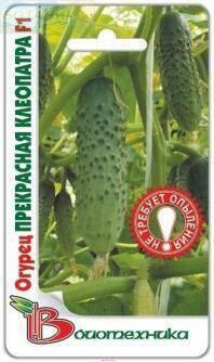 Купить оптом в Ботанике семена Огурец Прекрасная Клеопатра F1 Био бренд Биотехника