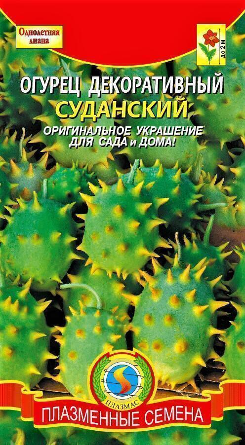 Купить оптом в Ботанике семена Огурец декоративный Суданский Плз бренд Плазмас