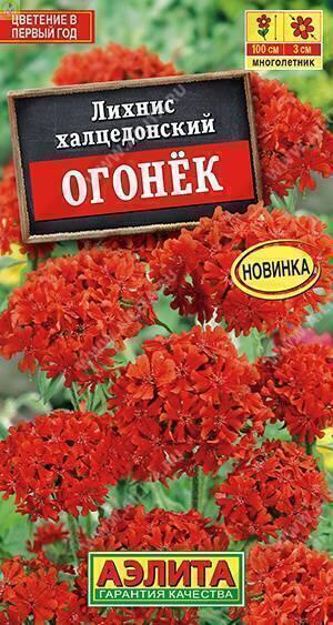 Купить оптом в Ботанике семена Лихнис Огонек Аэл бренд Аэлита