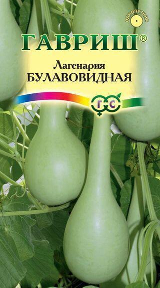 Купить оптом в Ботанике семена Лагенария Булавовидная Гав бренд Гавриш