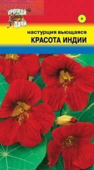 Купить оптом в Ботанике семена Настурция Красота Индии УУ бренд Урожай Удачи