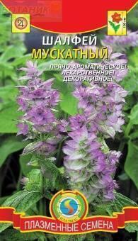 Купить оптом в Ботанике семена Шалфей Мускатный Плз бренд Плазмас