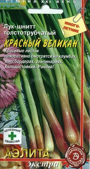 Купить оптом в Ботанике семена Лук шнитт Красный великан* Аэл бренд Аэлита