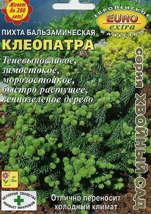 Купить оптом в Ботанике семена Пихта Клеопатра бальзамическая Аэл бренд Аэлита