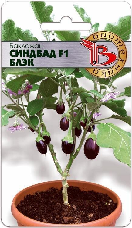 Купить оптом в Ботанике семена Баклажан Синдбад Блэк F1 Био бренд Биотехника