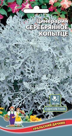 Купить оптом в Ботанике семена Цинерария Серебряное копытце УД бренд Уральский дачник