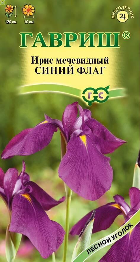 Купить оптом в Ботанике семена Ирис Синий флаг Гав бренд Гавриш