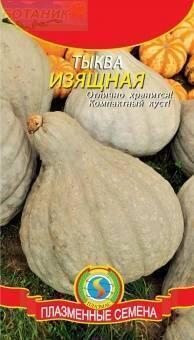 Купить оптом в Ботанике семена Тыква Изящная Плз бренд Плазмас