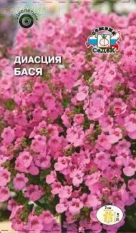 Купить оптом в Ботанике семена Диасция Бася нежно-розовая Сед бренд СеДеК