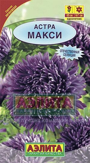 Купить оптом в Ботанике семена Астра Макси Аэл бренд Аэлита