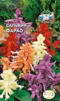 Купить оптом в Ботанике семена Сальвия Фарао Сед бренд СеДеК